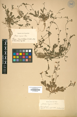 LE 01008548