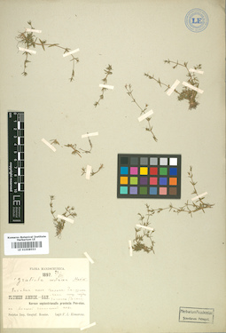 LE 01008553