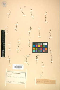 LE 01008555