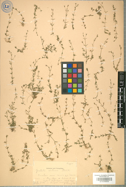 LE 01008556