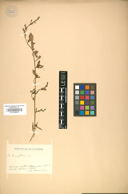 LE 01008562