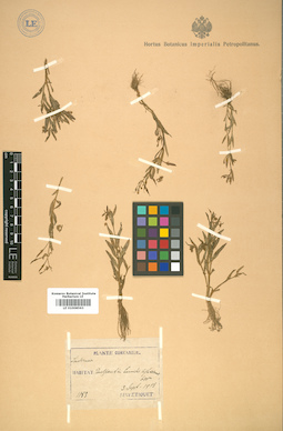 LE 01008563