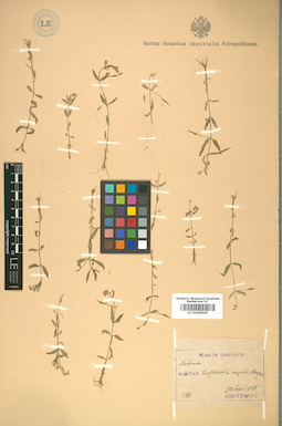LE 01008565