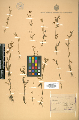 LE 01008566