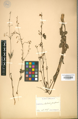 LE 01008570