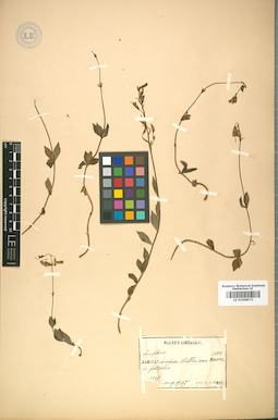 LE 01008571