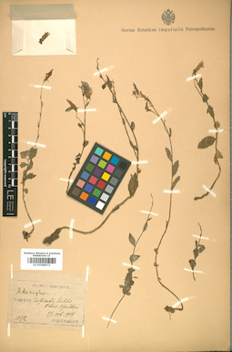 LE 01008572