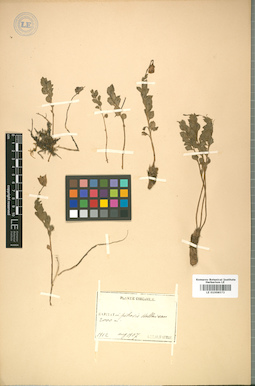 LE 01008573