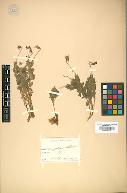 LE 01008574
