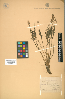 LE 01008575