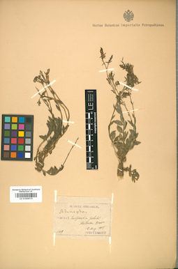 LE 01008576