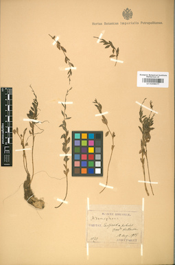 LE 01008577