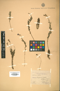 LE 01008578