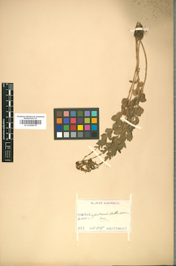 LE 01008579