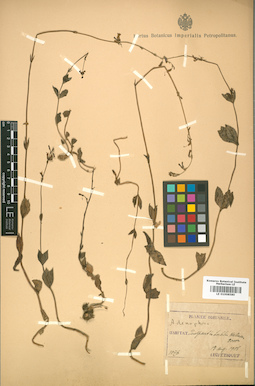 LE 01008580