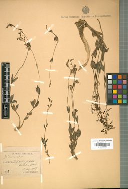 LE 01008581