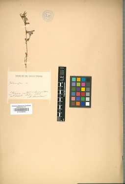 LE 01008583