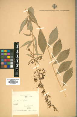 LE 01008584
