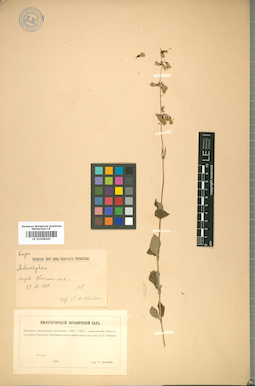 LE 01008585