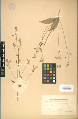 LE 01008586