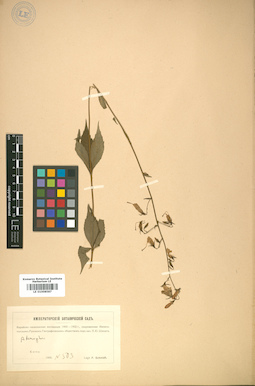 LE 01008587