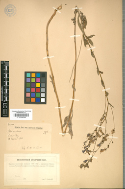 LE 01008588