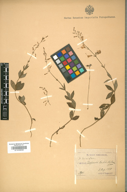 LE 01008589