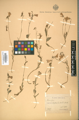 LE 01008590