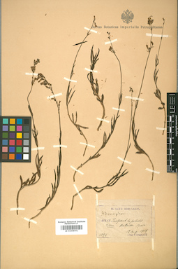 LE 01008591