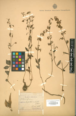 LE 01008592