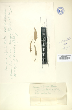LE 01008610
