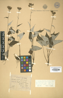 LE 01008611