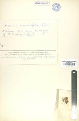 LE 01008613