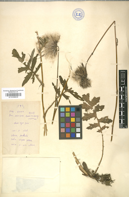 LE 01008628