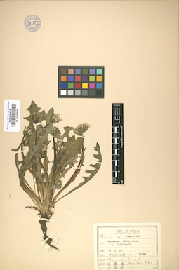 LE 01008630