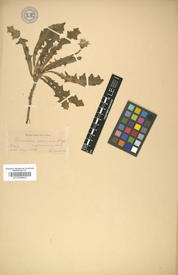 LE 01008632