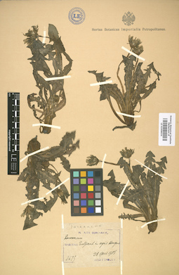 LE 01008634