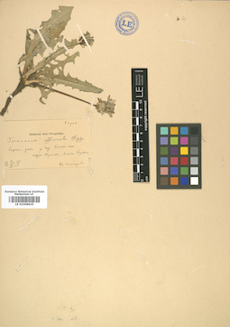 LE 01008635