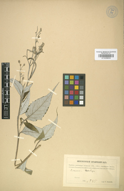 LE 01008636
