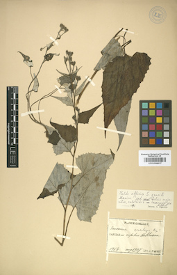 LE 01008637