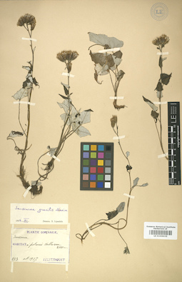 LE 01008639