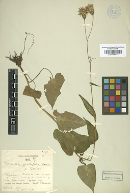 LE 01008642