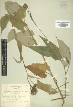 LE 01008644