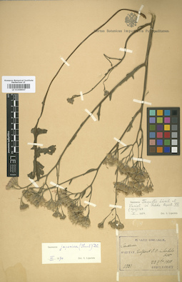 LE 01008647
