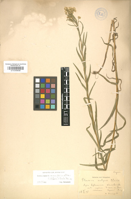 LE 01008648