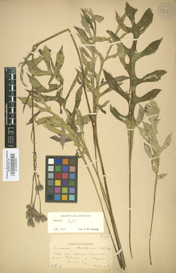 LE 01008650