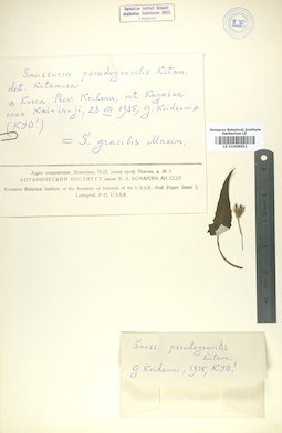LE 01008652