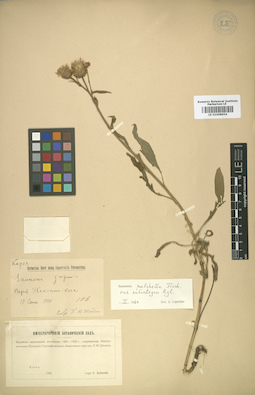LE 01008654