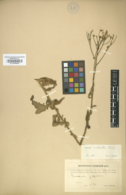 LE 01008655