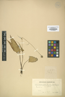 LE 01008658